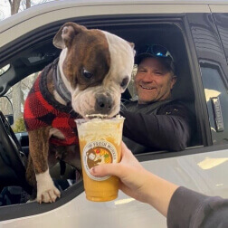 A happy customer and their bulldog enjoying The Fresh Monkee's healthy smoothies