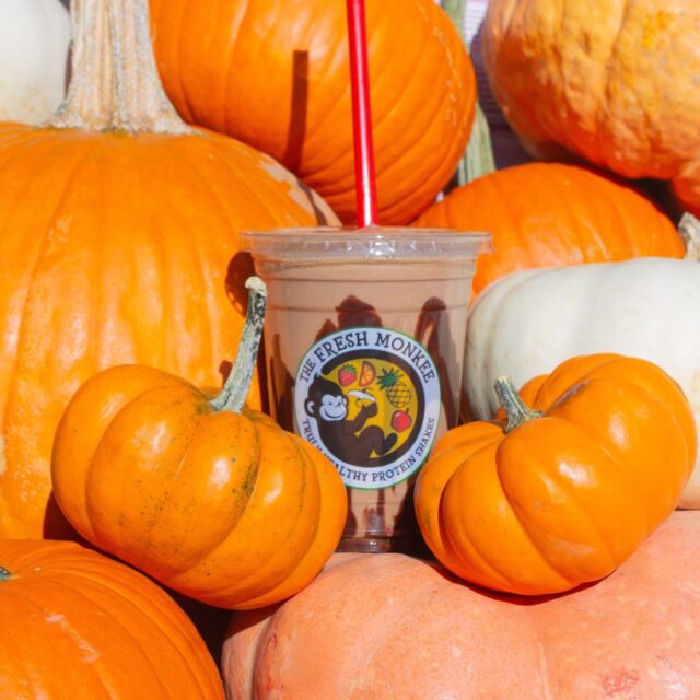 Celebrate the season with a Chocolate Pumpkin Protein Shake, a delicious blend of fall flavors, REAL pumpkin puree, and protein-packed energy! 🎃

#PumpkinPatch #HighProtein #HealthyEating #FallVibes #TheFreshMonkee