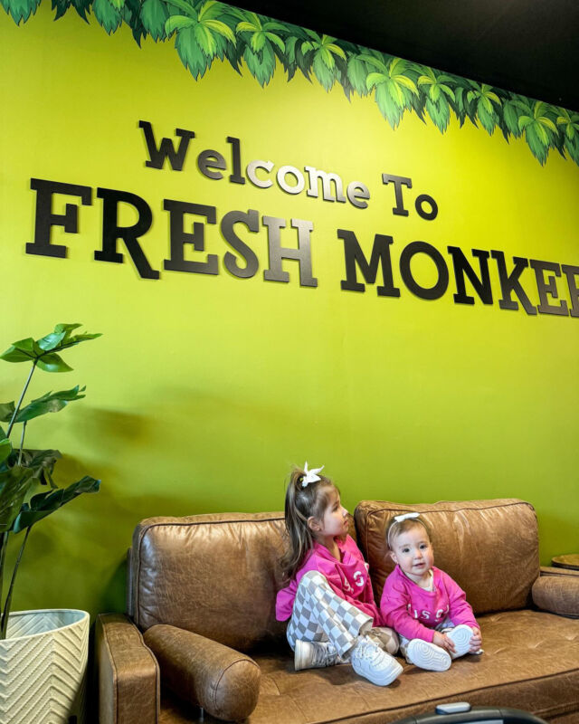 Your circus, our Monkees. 😎😉 Get a FRESH start to your week, that the whole family will love!

Order online or in-store - we can't wait to see you! https://thefreshmonkee.com/

#TheFreshMonkee #Smoothies #Smoothie #ProteinShakes #HealthyShakes #CleanEating #MealReplacement #HealthyLiving